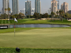 Read more about the article Oct – Montgomeries